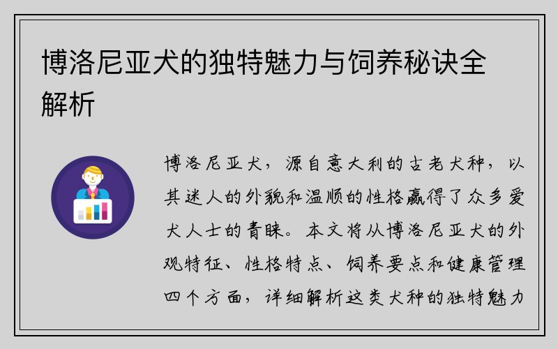 博洛尼亚犬的独特魅力与饲养秘诀全解析