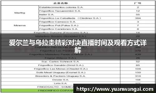 悟空体育爱尔兰与乌拉圭精彩对决直播时间及观看方式详解